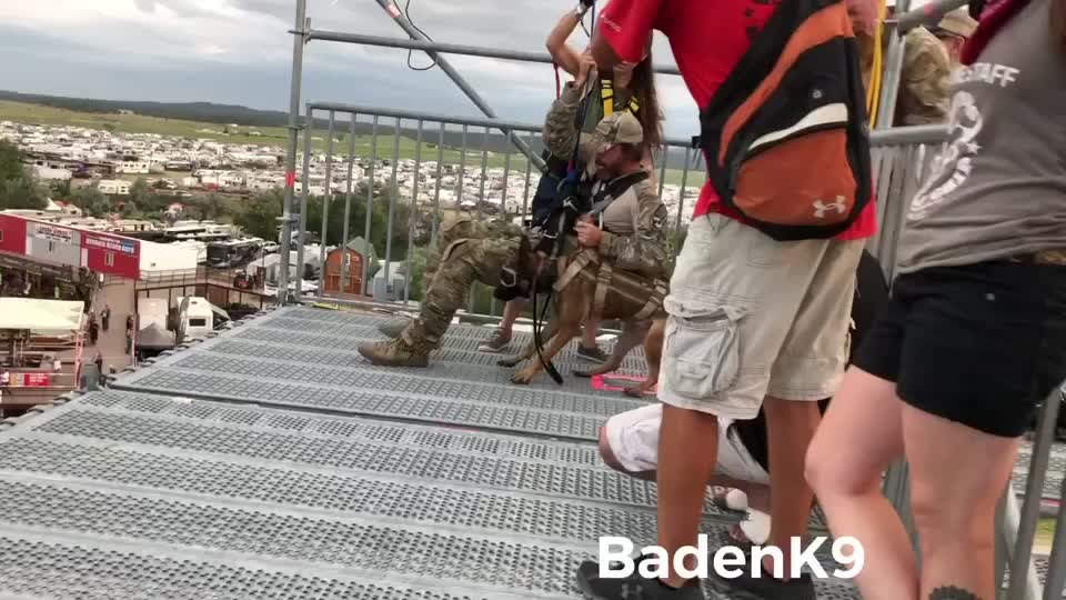 @Baden K9