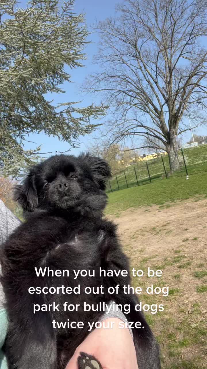 @cashandbentley_