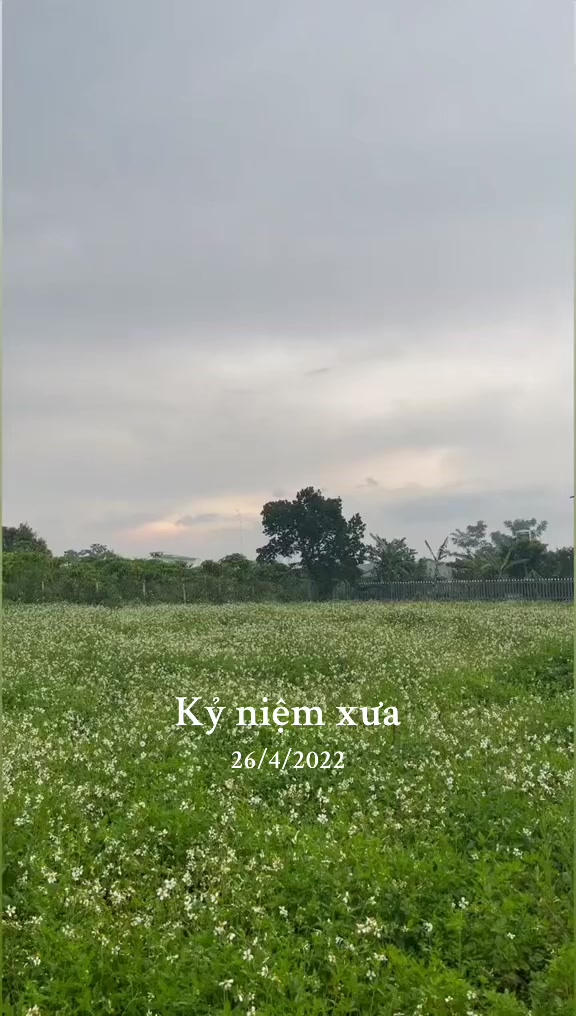 @Vien Ho