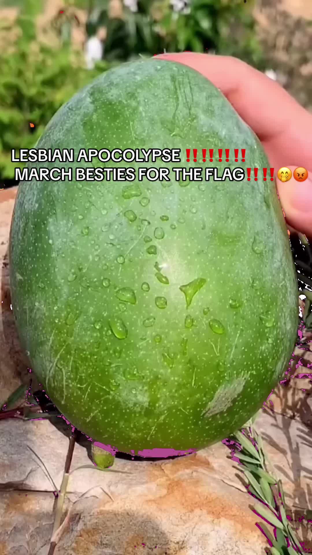 @Vi 🍌🤜🏻