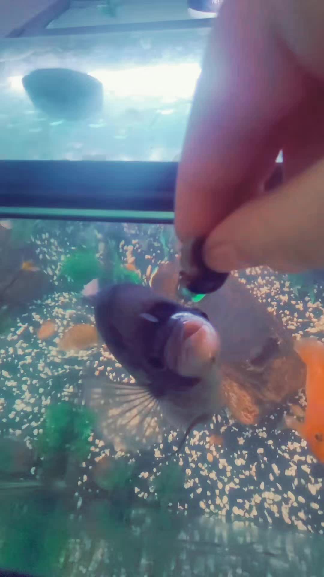 @stormy_loves_you