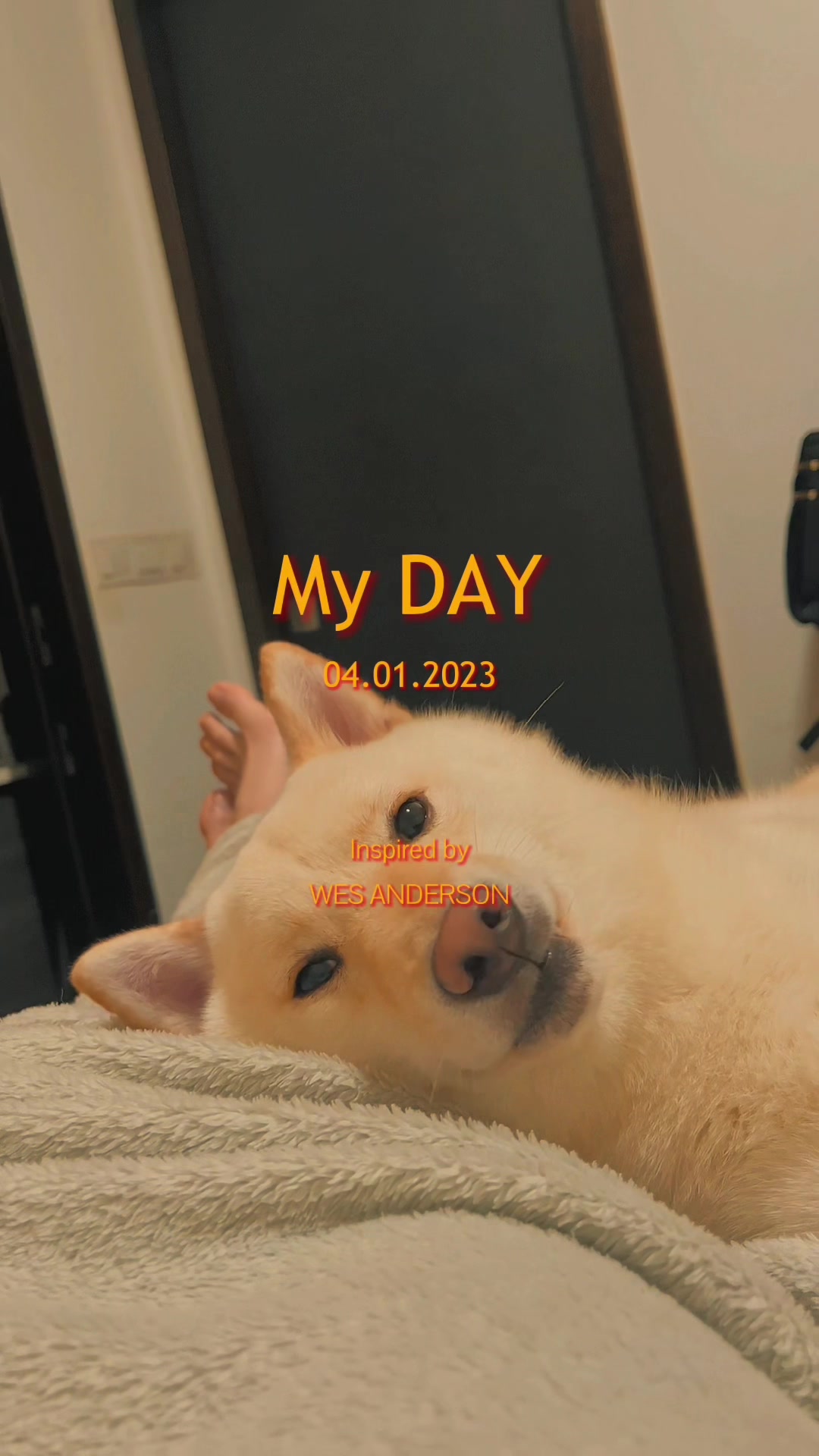 @Maia Jin