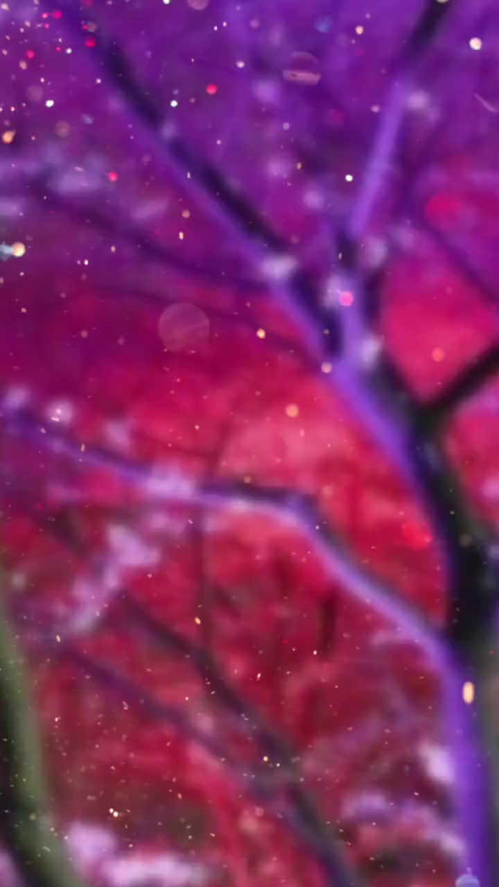 @몽글몽글