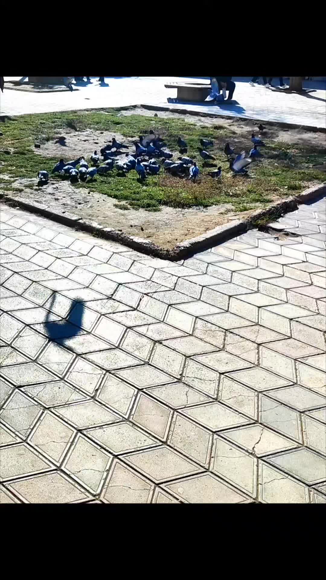 @♥️Konul♥️