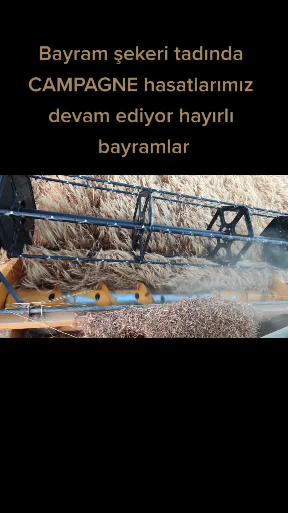 @Nafiz Genç