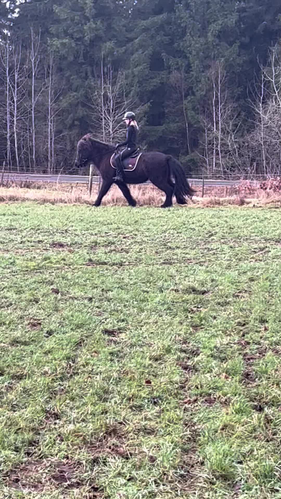 @Följer tbx 110%❤️