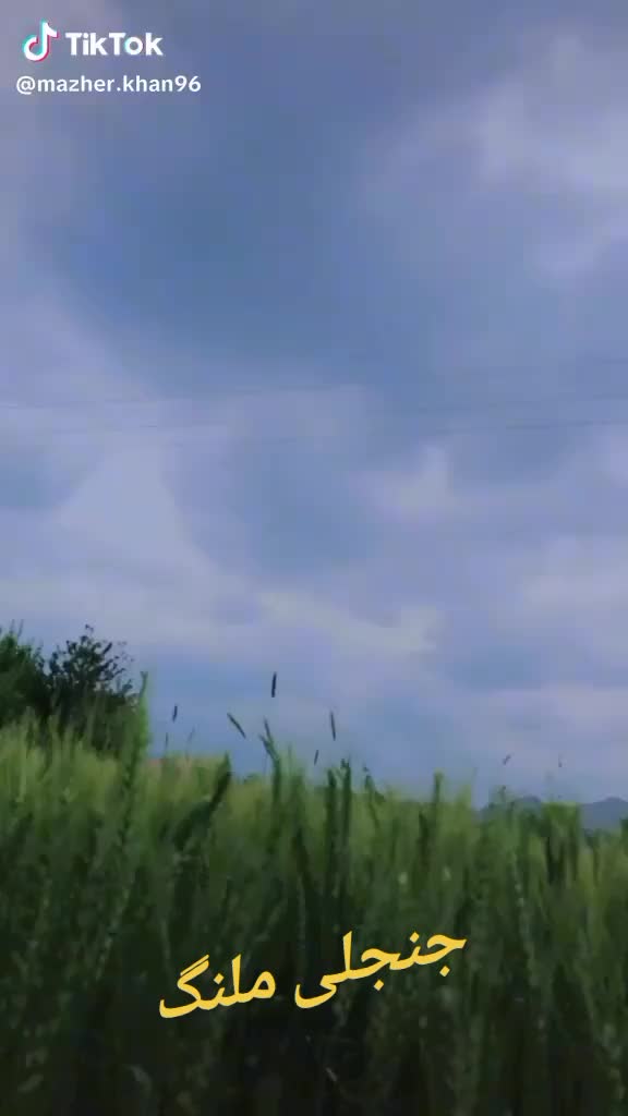 @جنجلی ملنگ