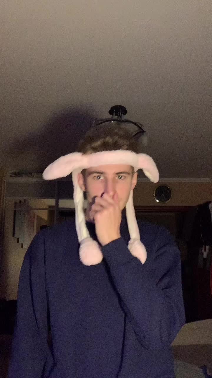 @Birbito400iq