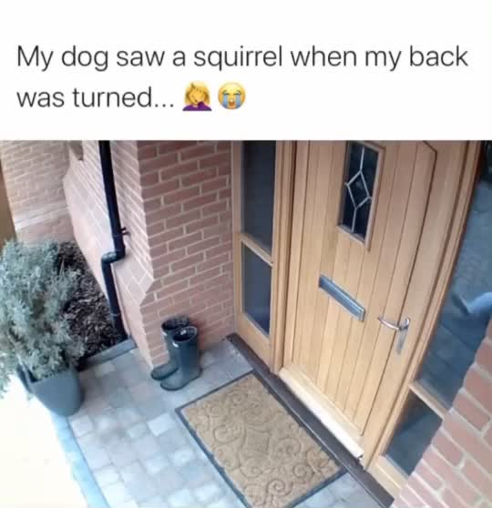 @Jacques Delacour