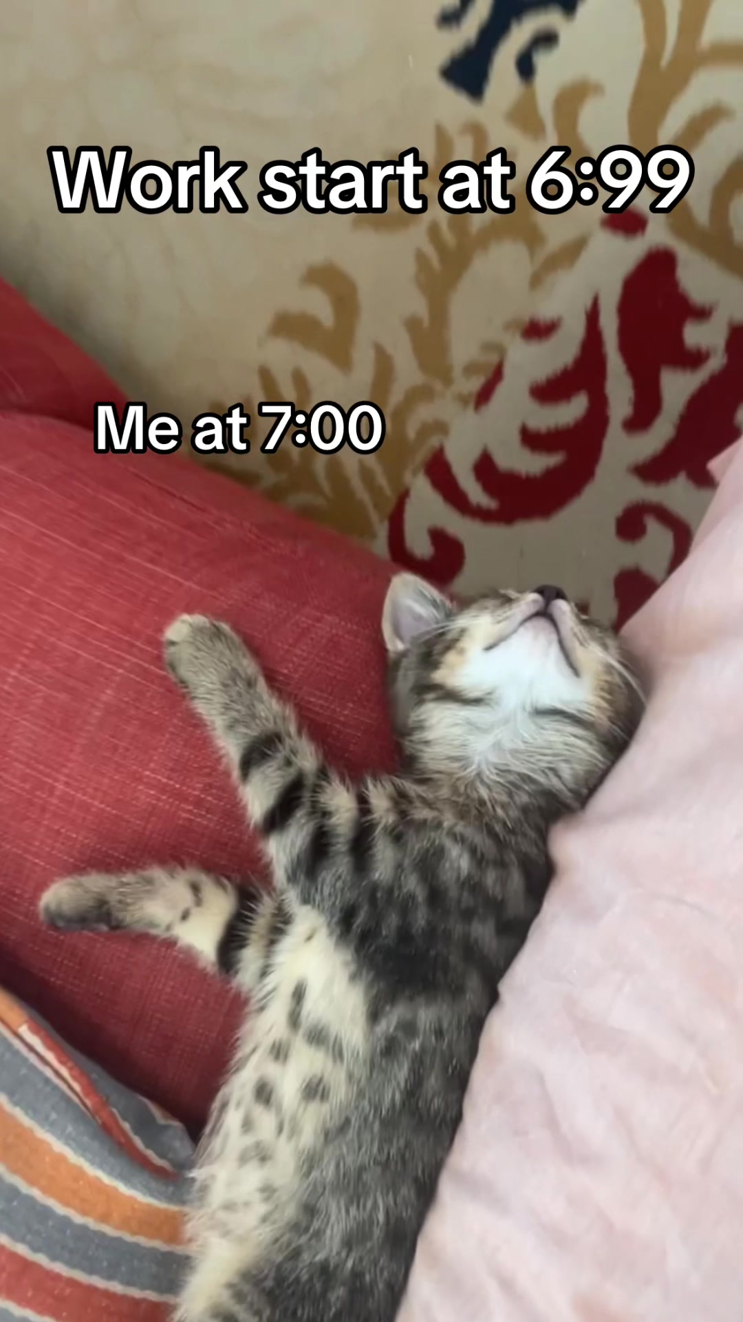 @KingofMisses