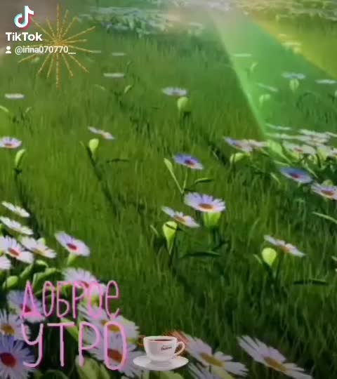 @user02784278782