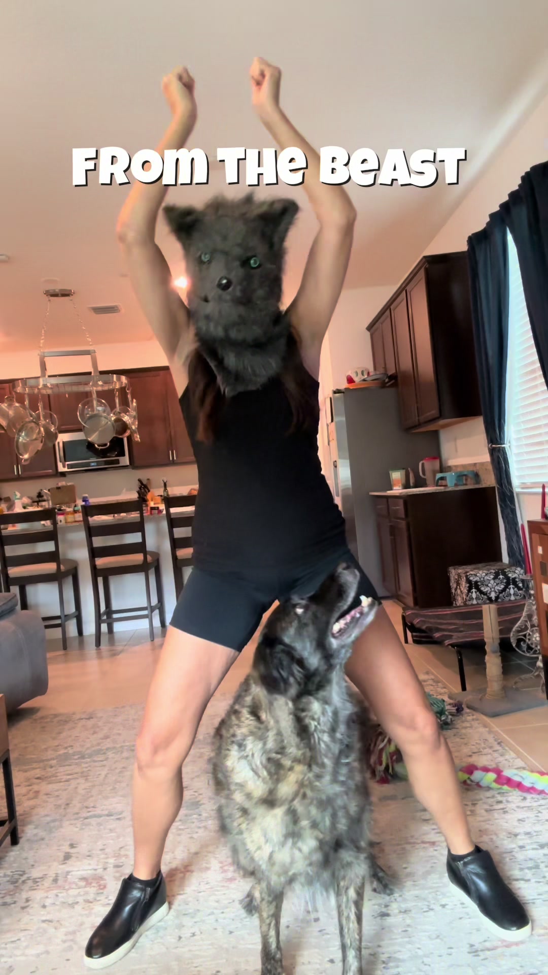 @Kylo the werewolf dog