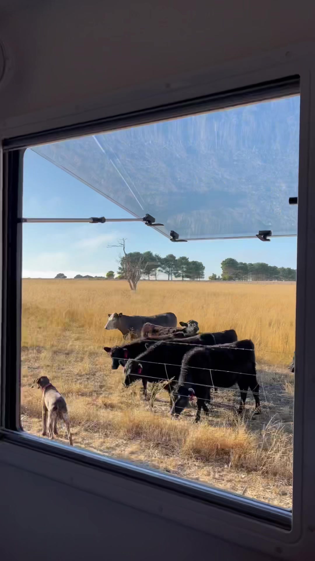 @Off Grid Oz Adventures