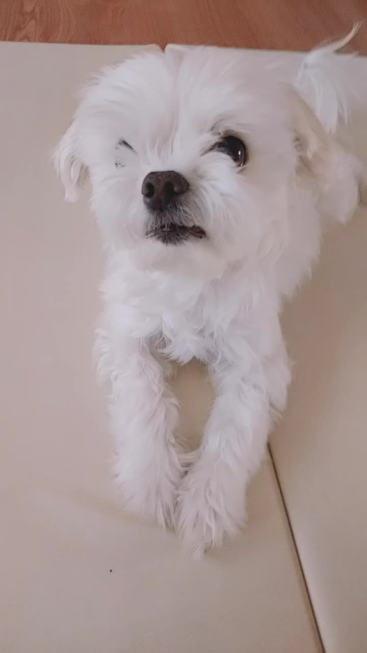 @경이씨