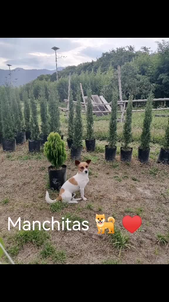 @lilianitasuarez