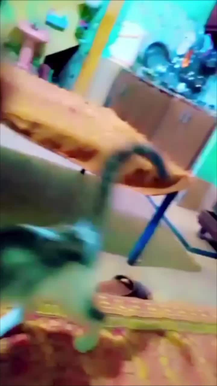 @Malik 👑 SG