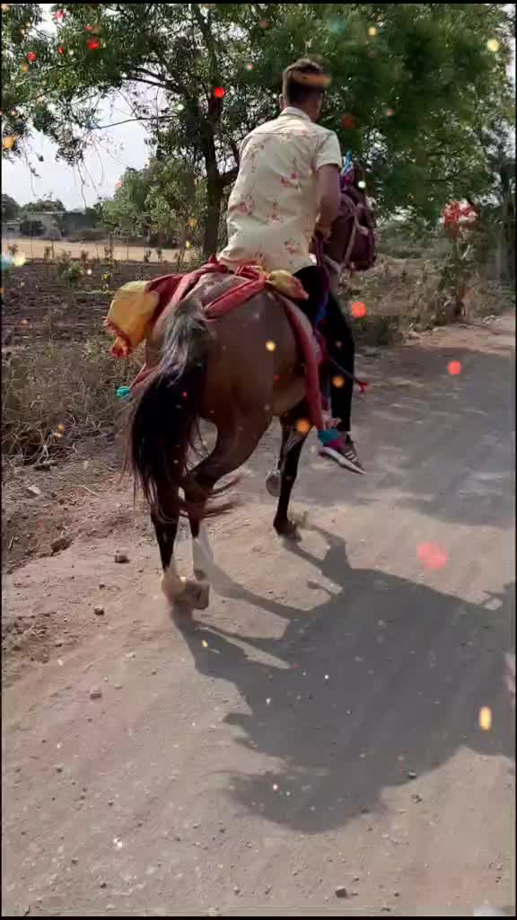 @vishal_ mundhava_ 88