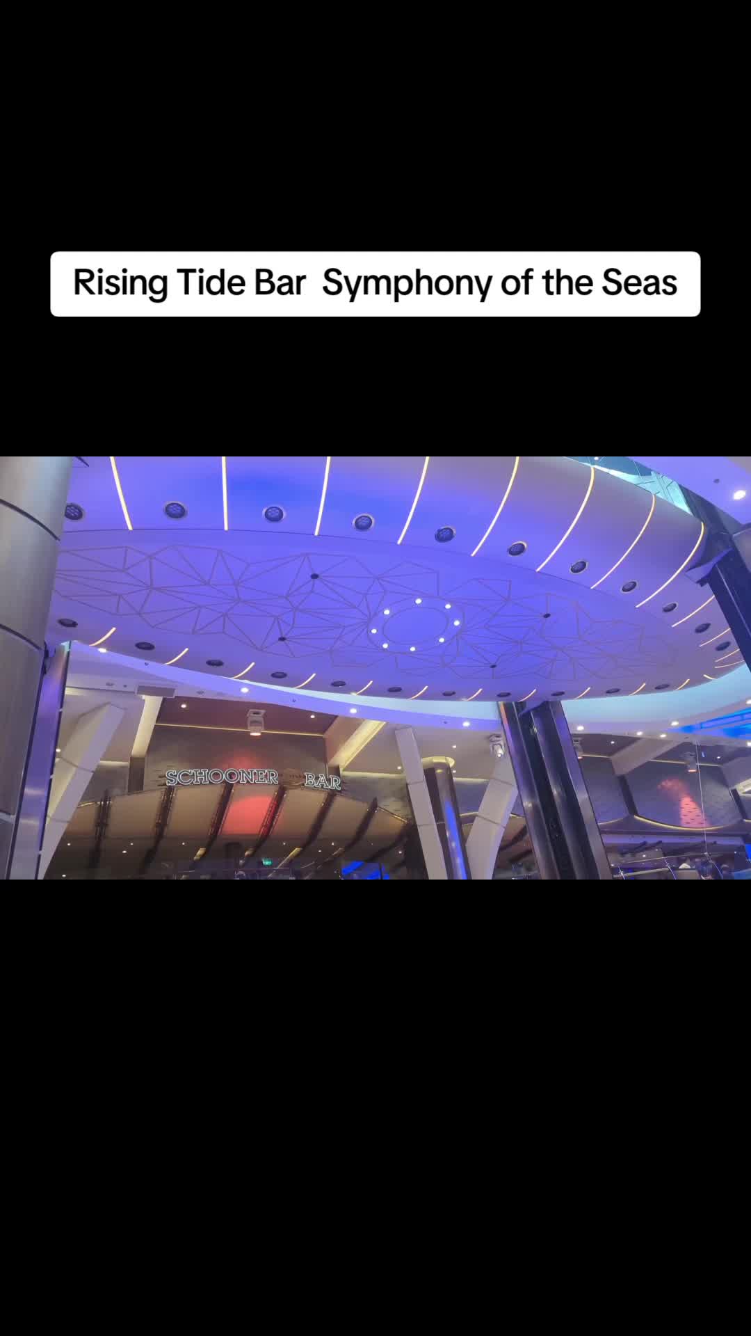 @Bailey Mouse