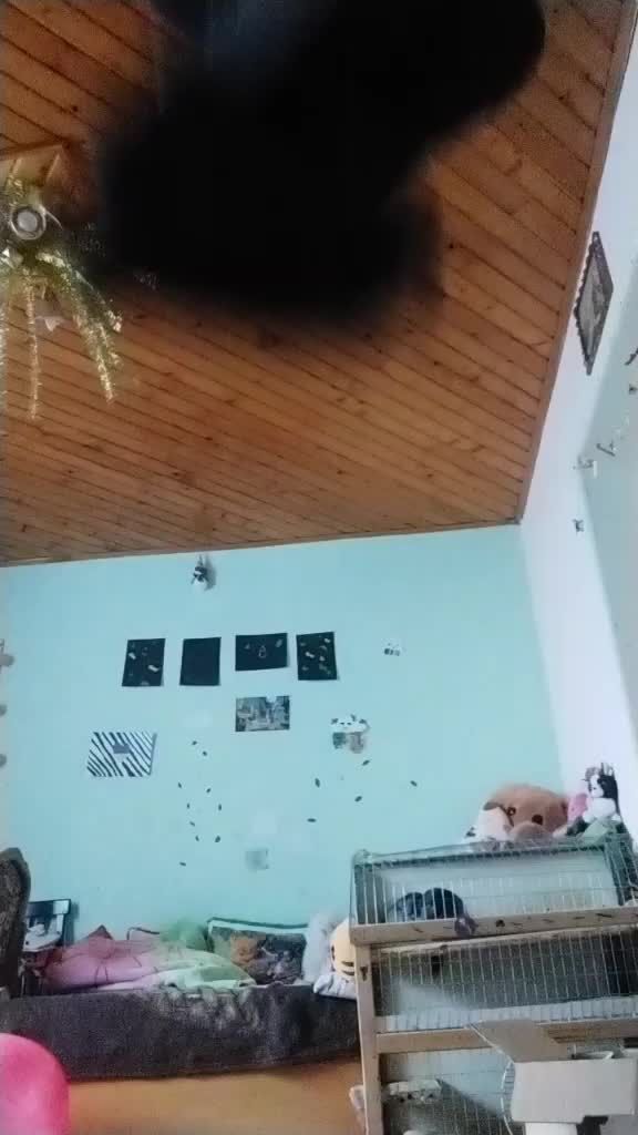 @❤️