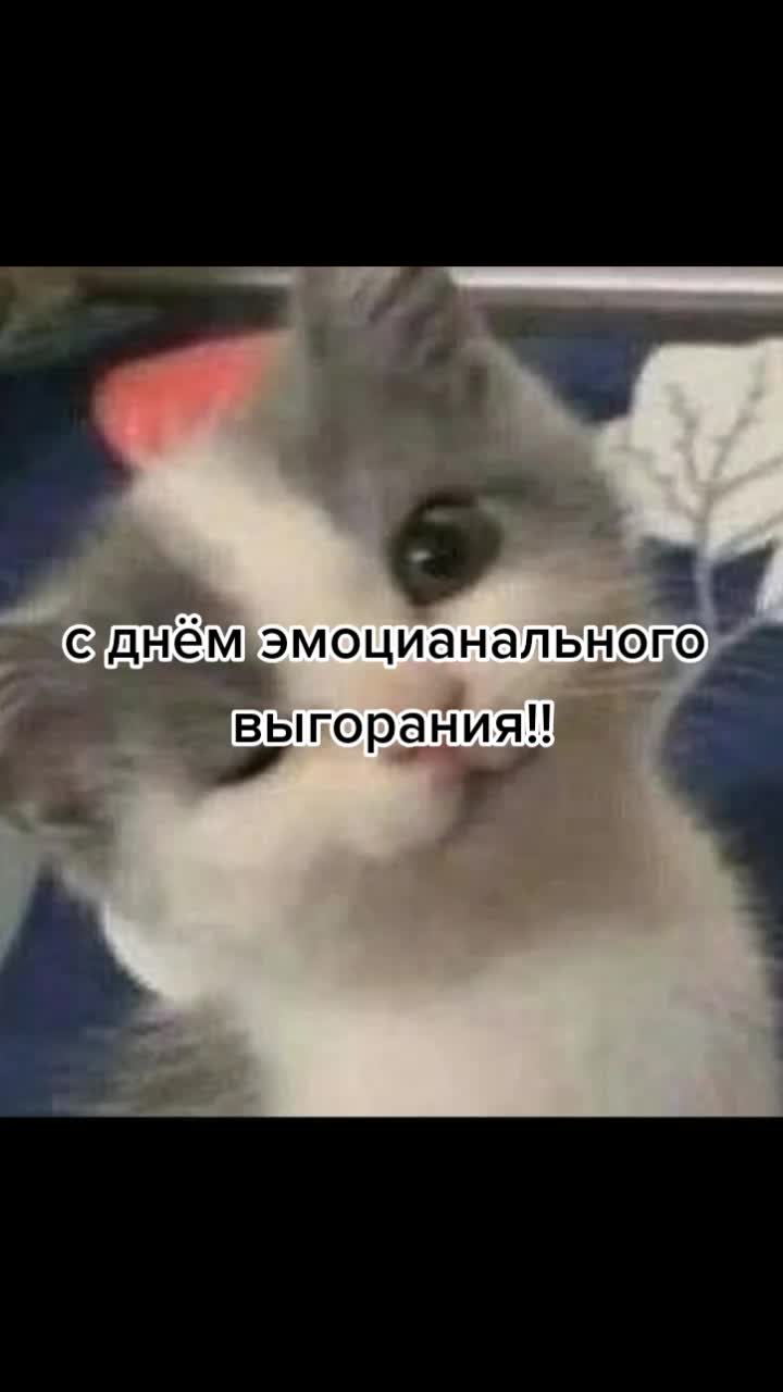 @попа