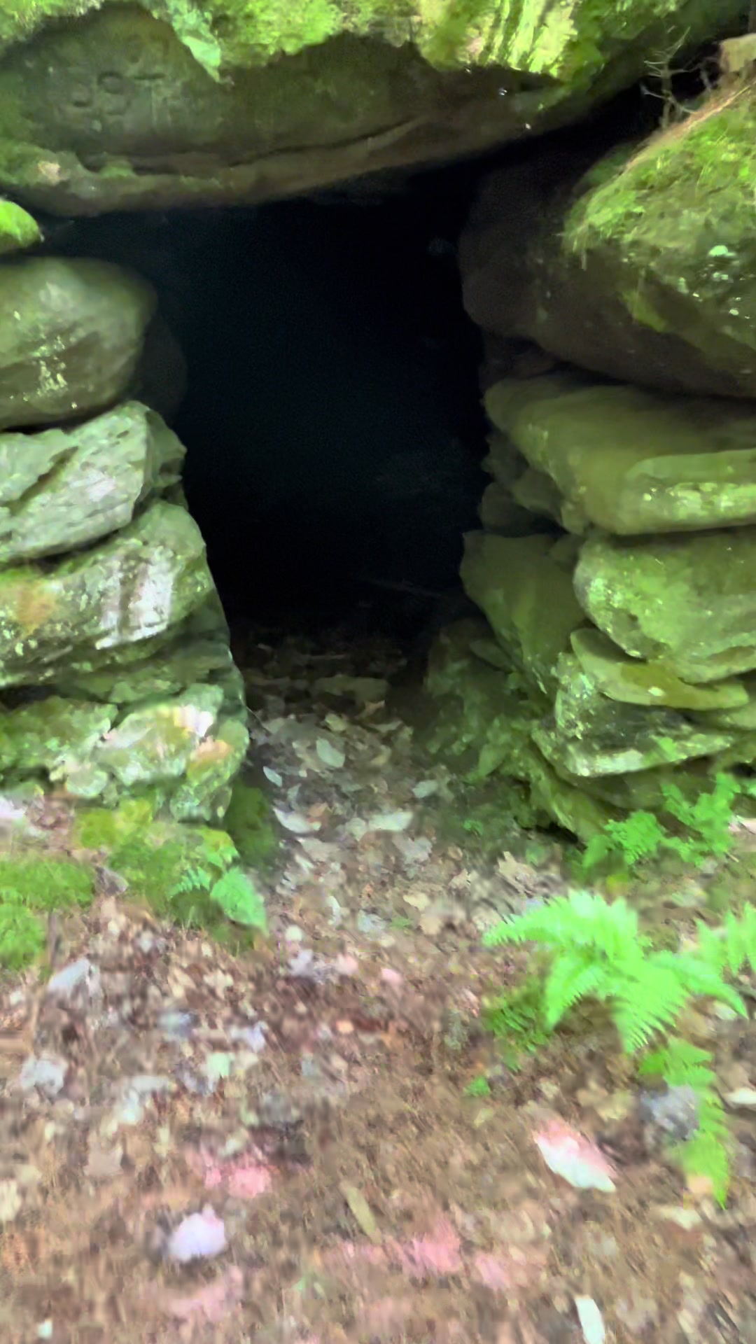 @Oldwoodentrunkadventures