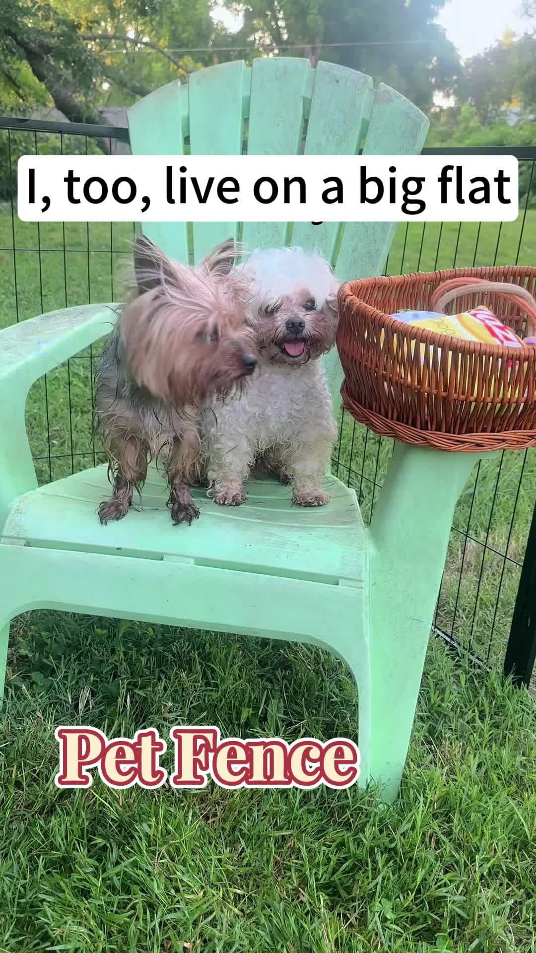 @DFHTGJ