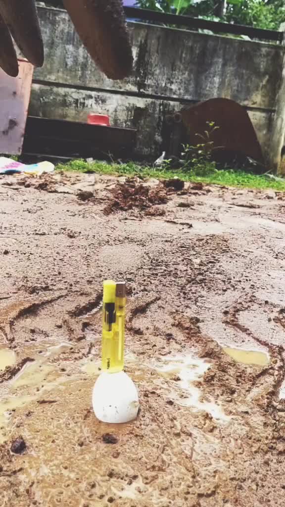 @ആനമല _കലീം _ ❤️