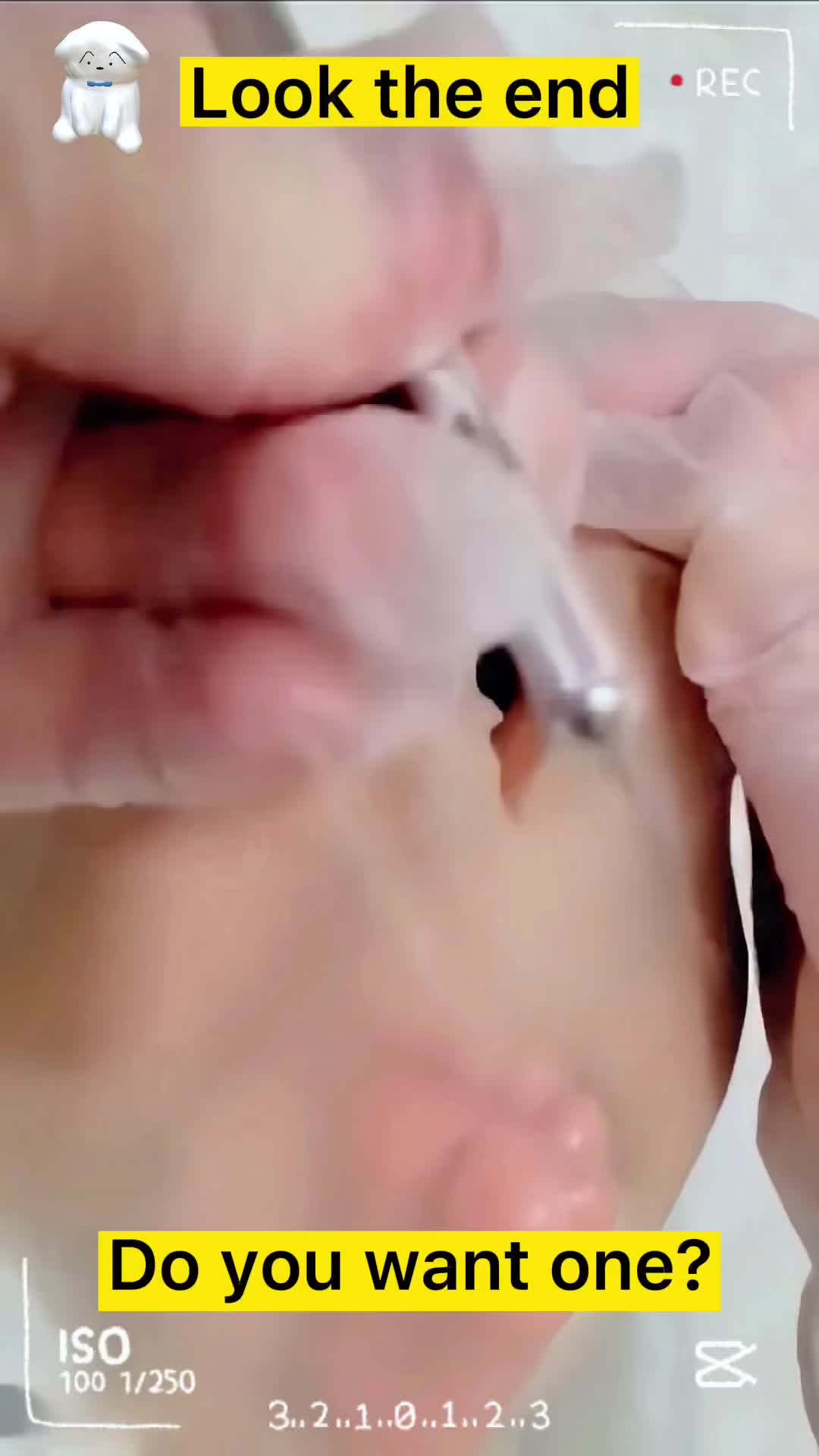@Kennard.doll