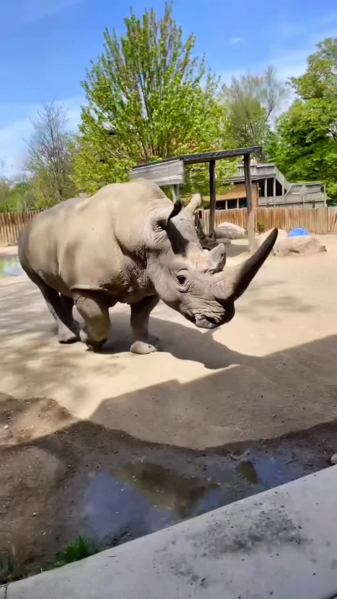 @ZookeeperTanner