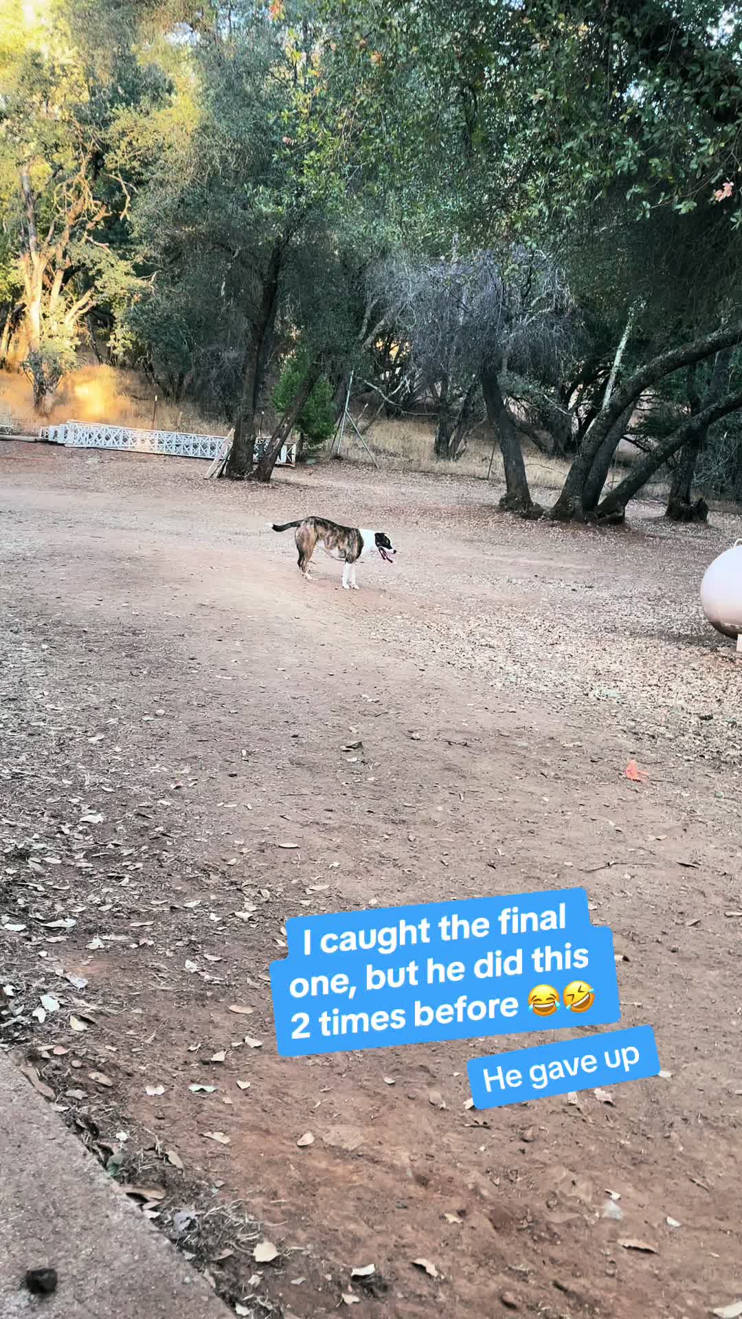@SmallAssRanch Designs