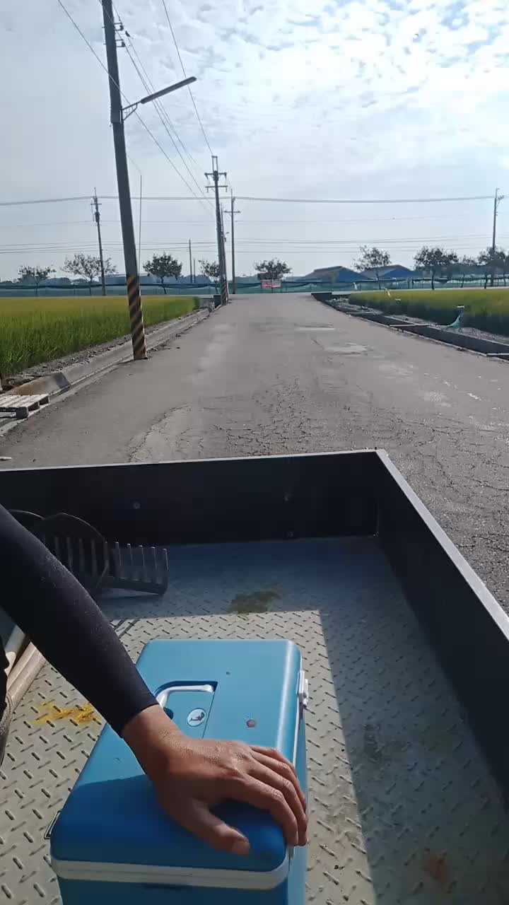 @Mười Tám Vũ