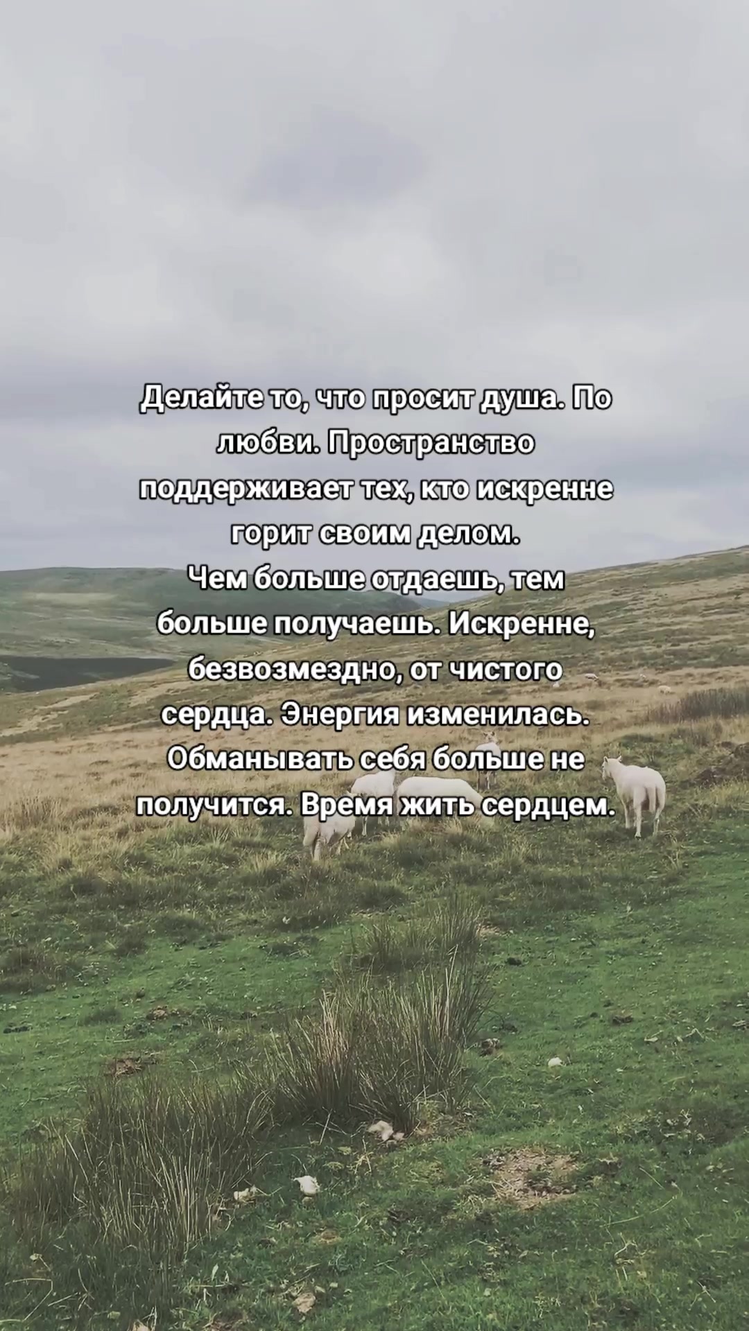 @🍀