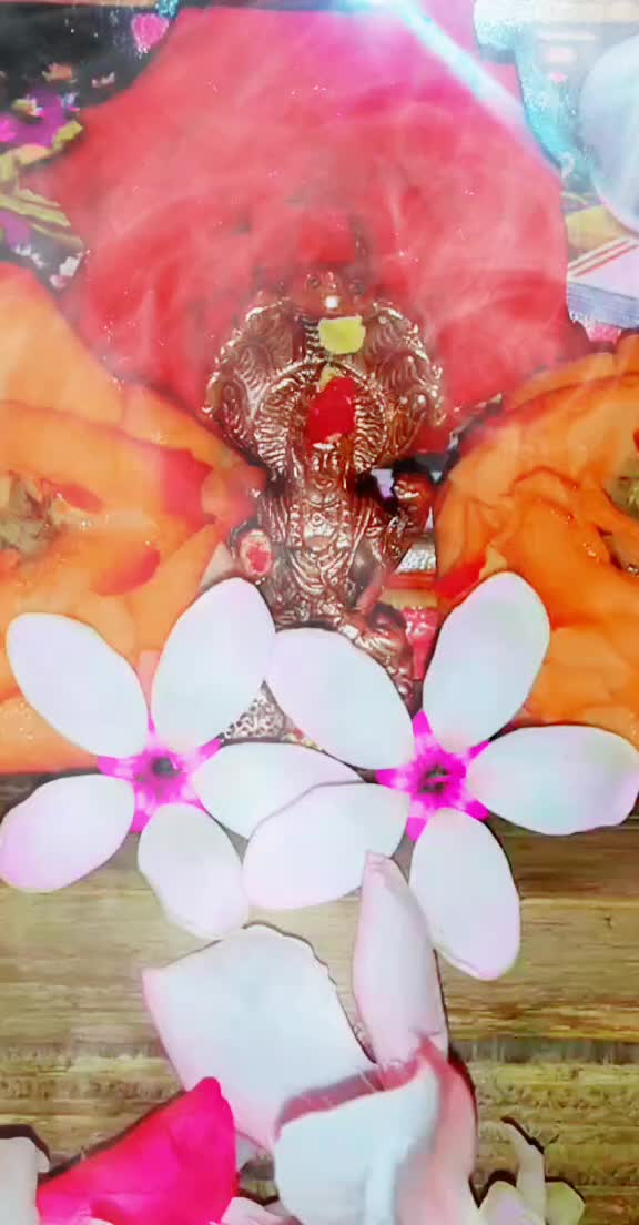 @sandhya_gajjala