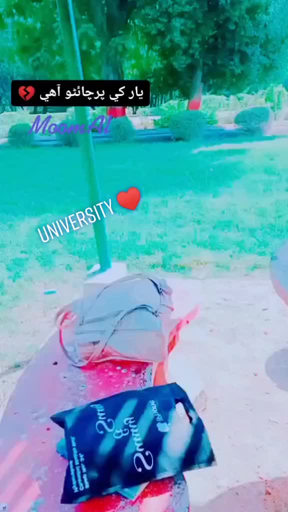 @MoomAl__official🔹