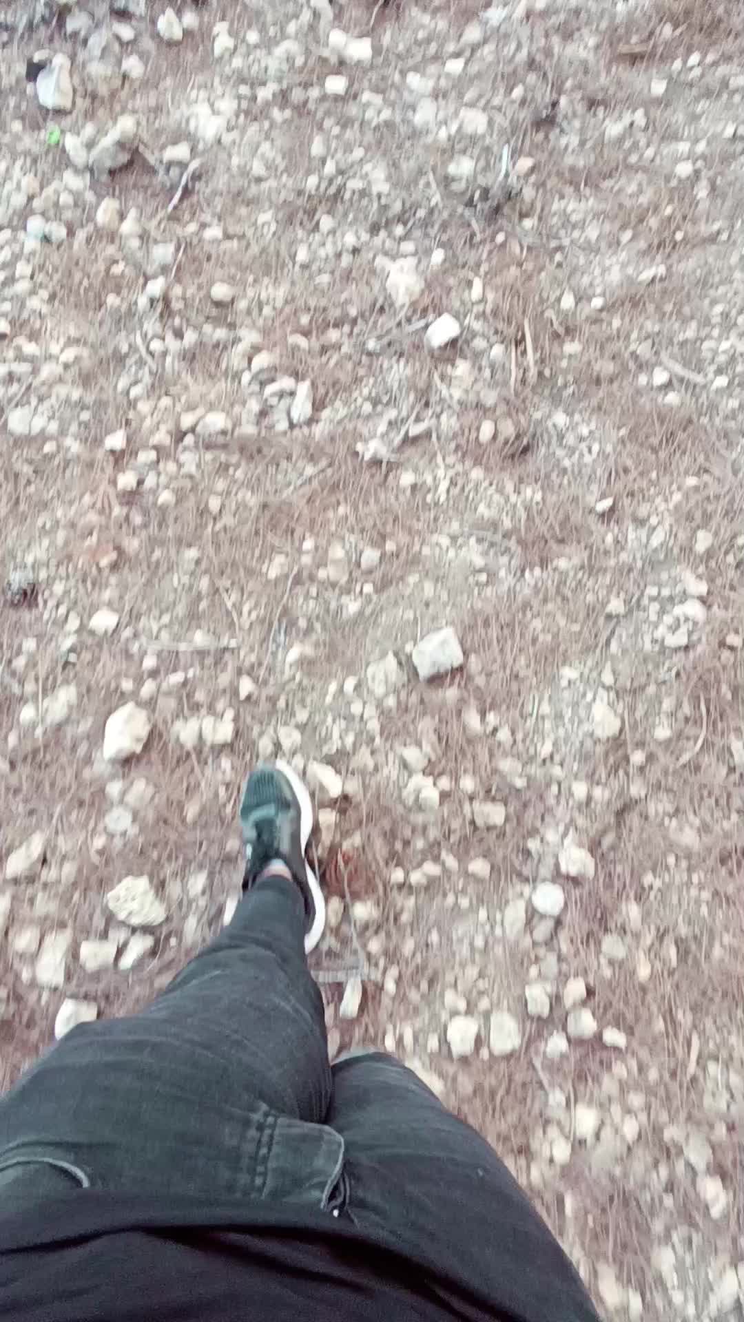 @يوسف غيث ابو يونس