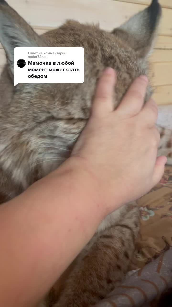 @Анна
