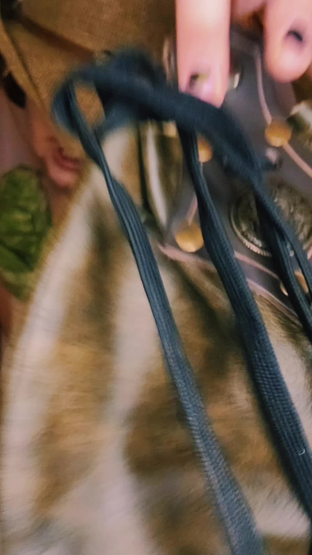 @☦️𝙿𝚎𝚊𝚌𝚑𝚢/𝙿𝙹🇬🇷