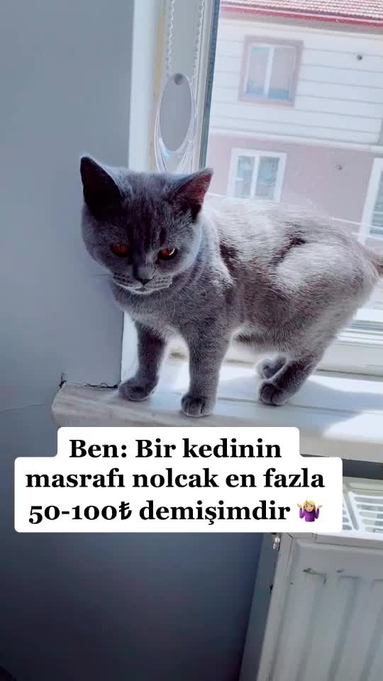 @dryakbas