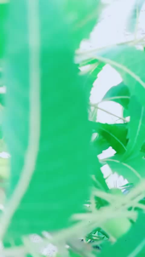 @Team  ⚡rajsthan pali