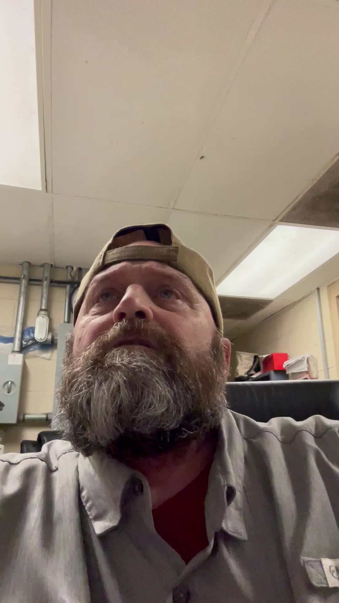@ArcticSwine