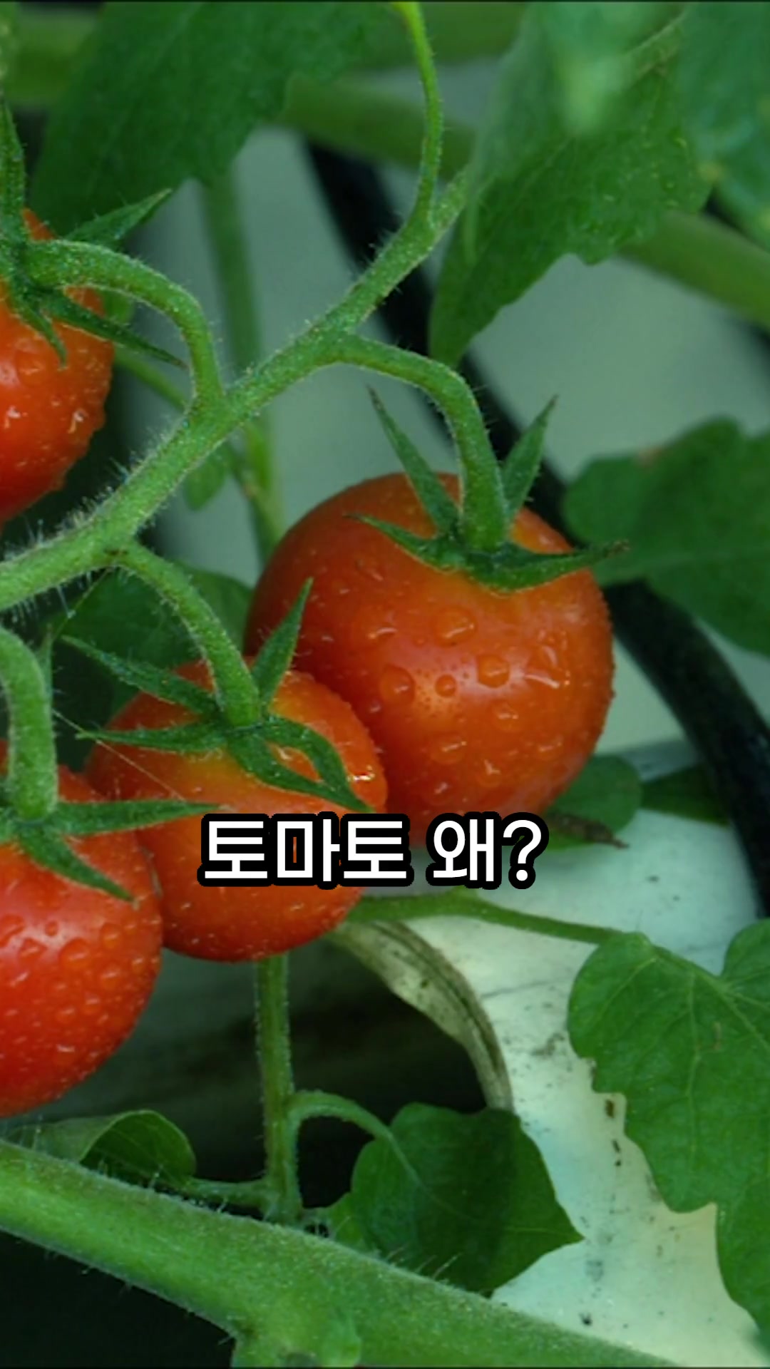 @건강한 산책