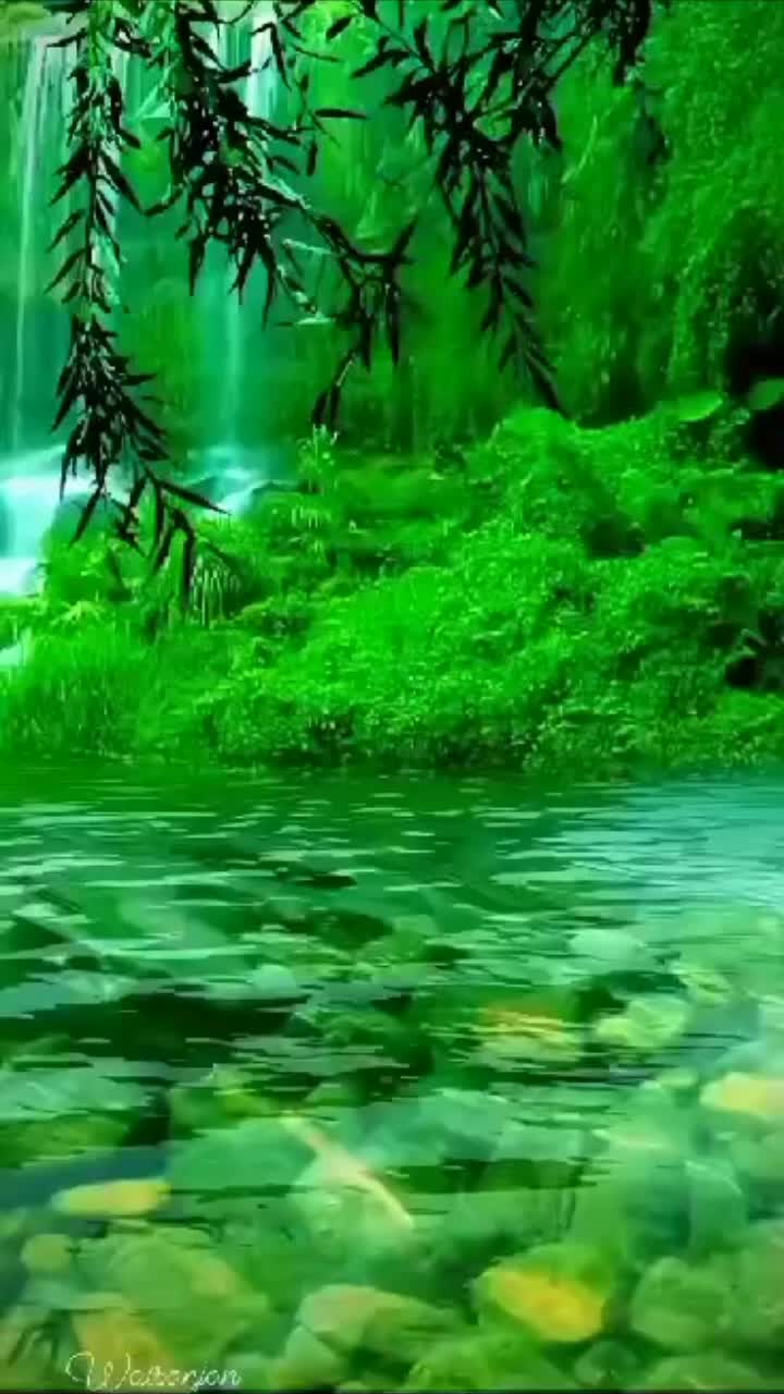 @hərbiçi_oğlanları