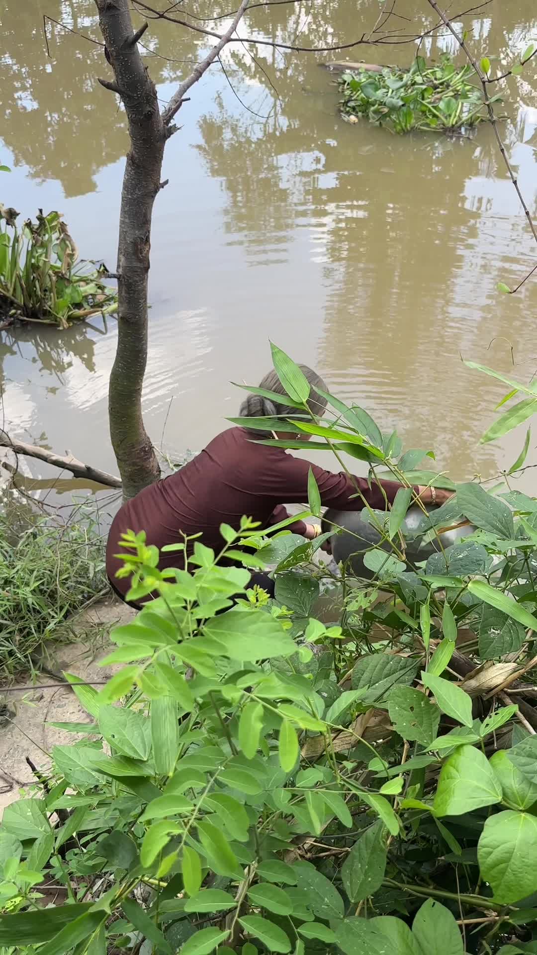 @Ngoại 9 Miền T&acirc;y 🇻🇳