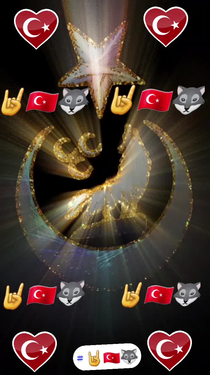 @🐺🇹🇷🤘BOZKURT ASENA🐺🇹🇷🤘