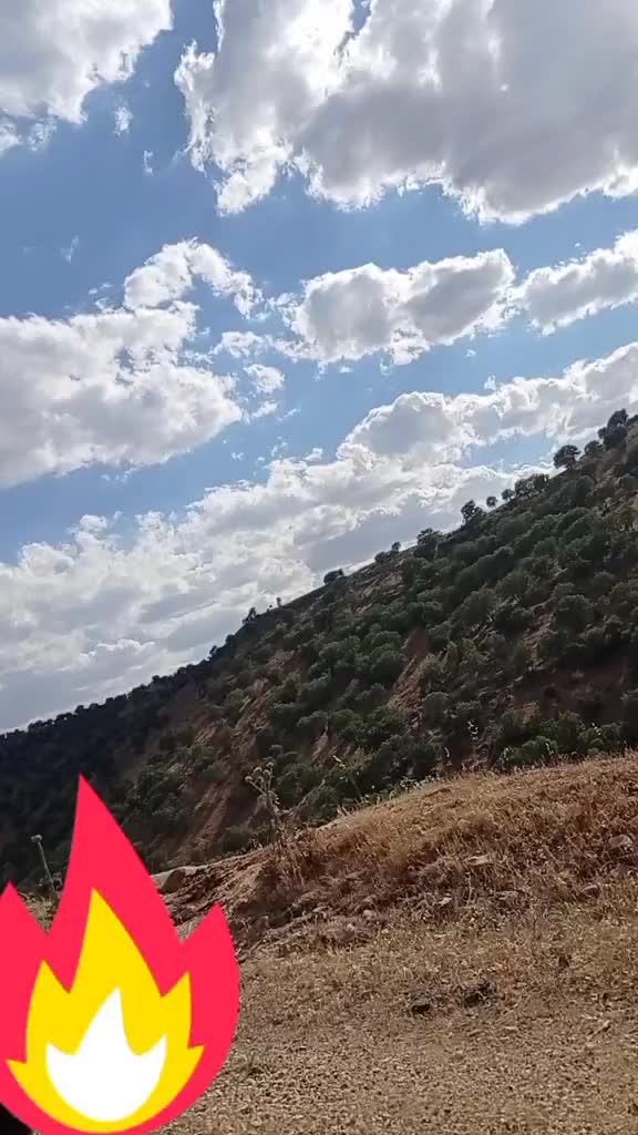 @Açelya Ağıt