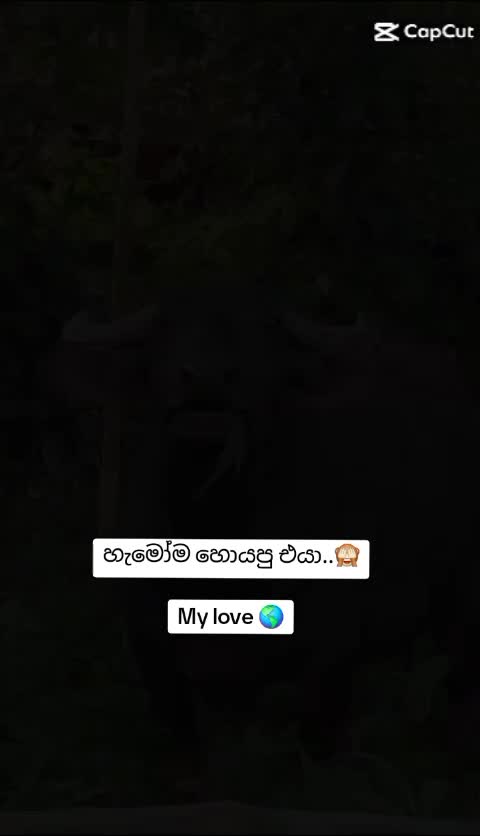 @𝔻𝕆ℕ𝕀 🔥🖤