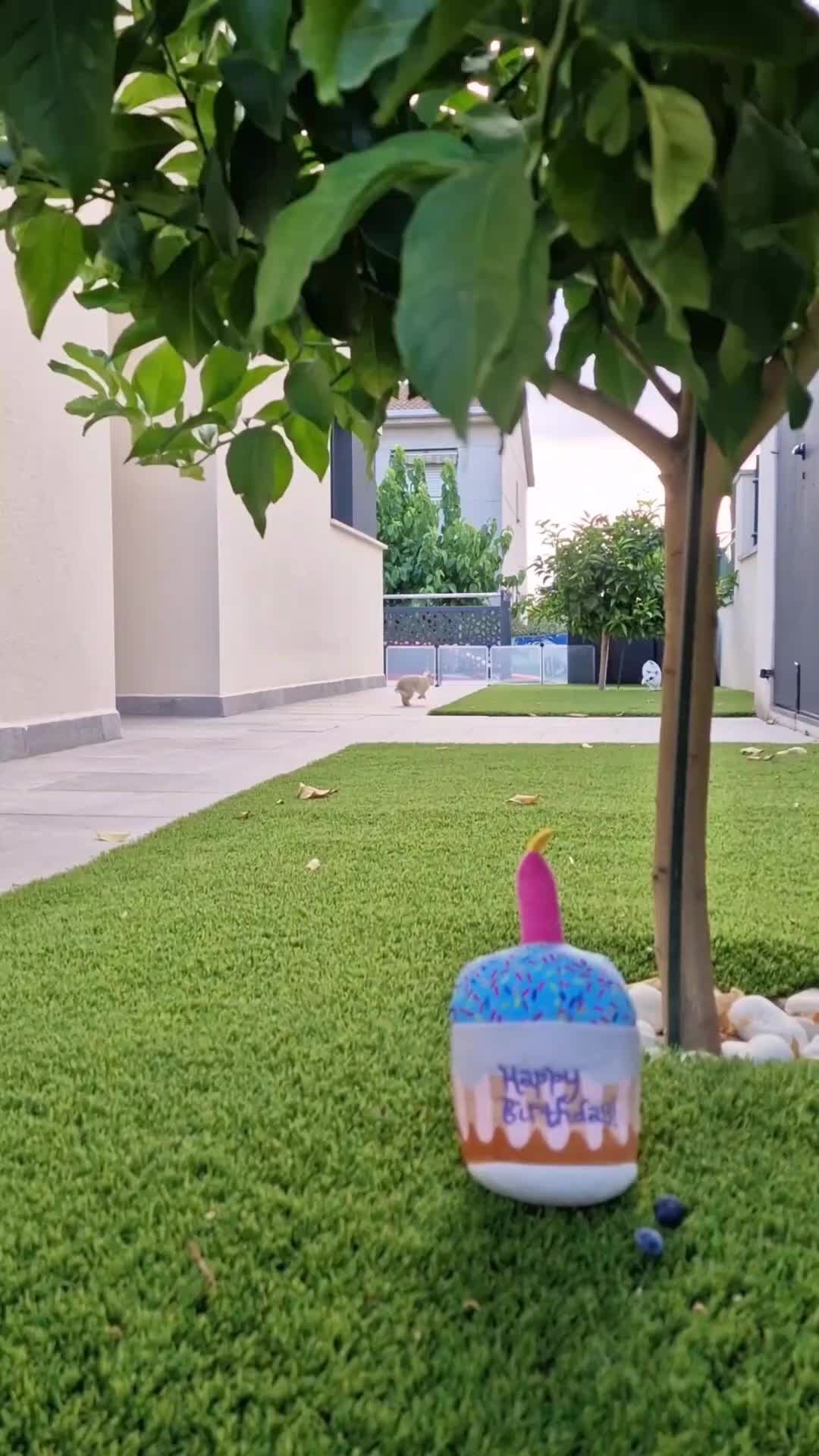 @๐ฐ๐
๐บ๐
/๐๐๐
บ๐
ธ
