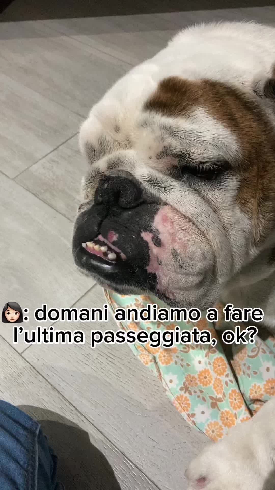 @bea🫀