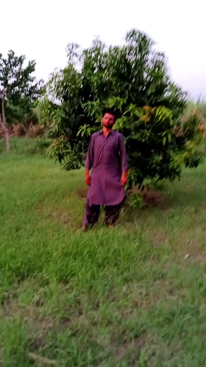 @user3258826833425