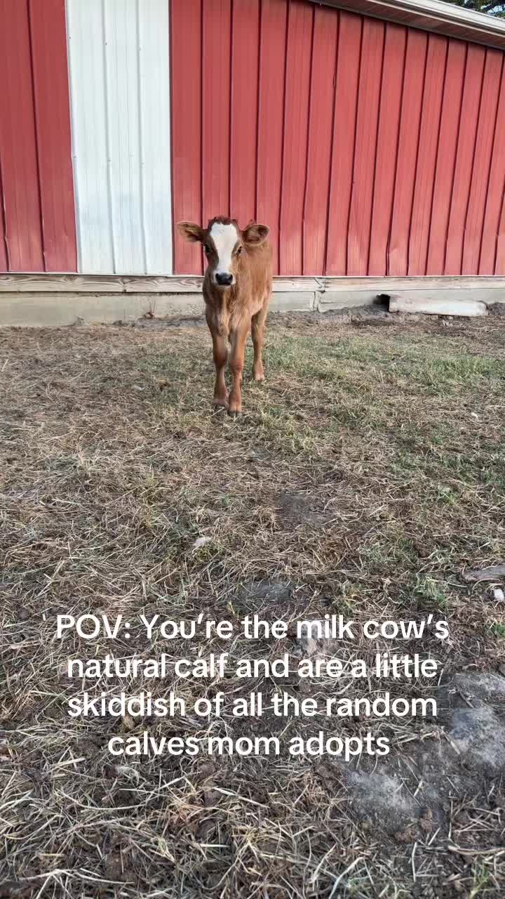 @cvledbetter&son